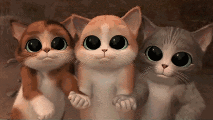 微信图片_20190520104922.gif